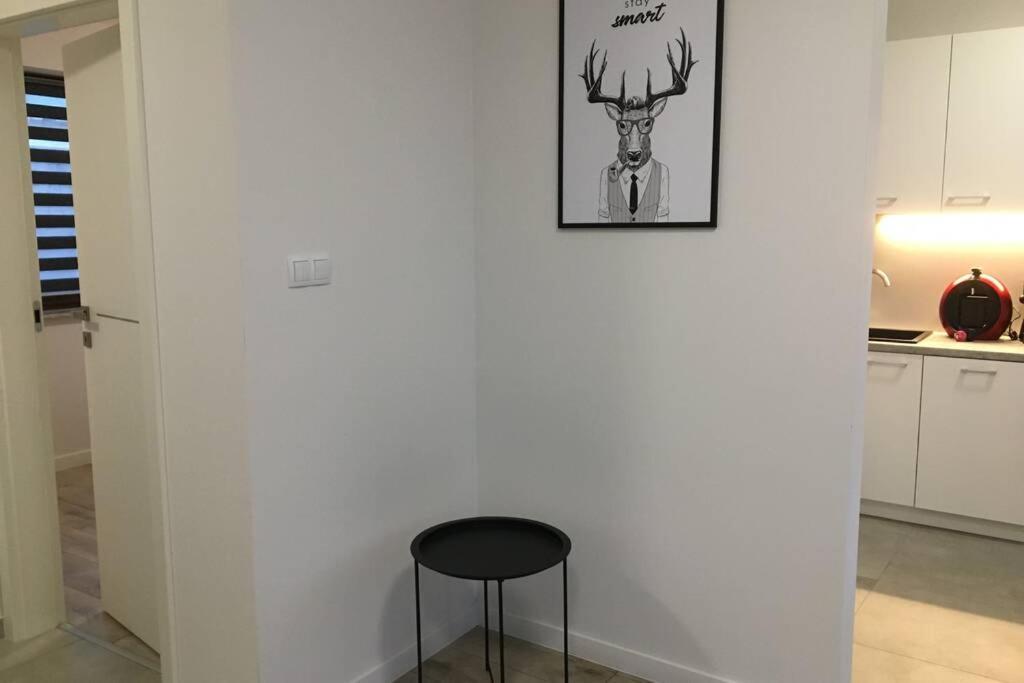 Apartament Fibra Americano Rybnik  Buitenkant foto